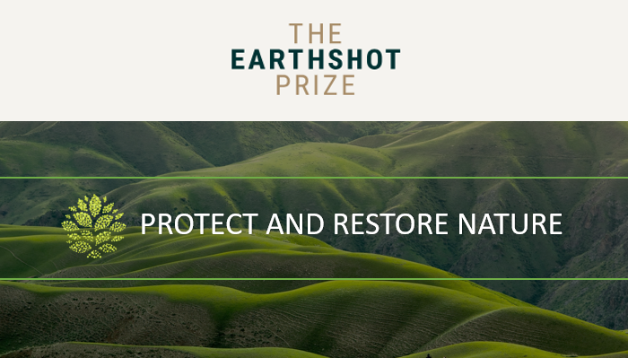 Protect and restore nature picture.png